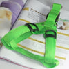 Flashing Light Up Safety Harness Collar